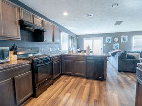 1119 Grassy View Drive, Houston TX 77073