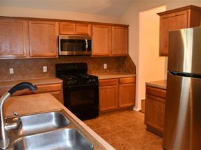 22 Garden Lodge Place, The Woodlands TX 77382