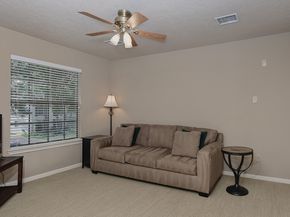 15 Amber Sky Place, The Woodlands TX 77381