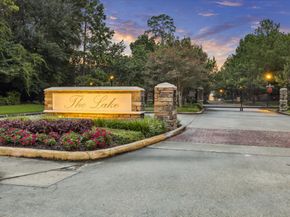 31215 Lakeview Bend Lane, Spring TX 77386