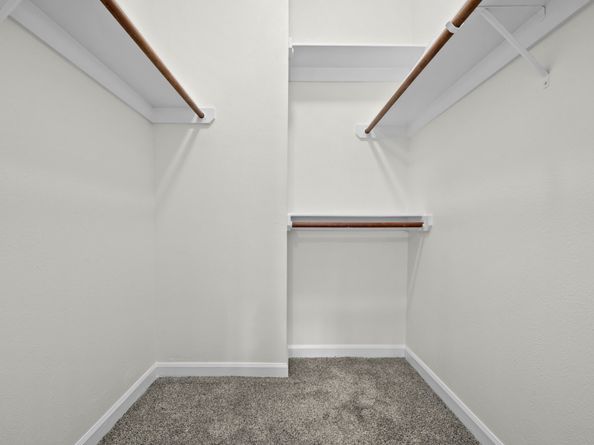 31 Trailhead Place, The Woodlands TX 77381