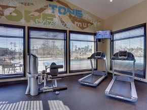 4710 Walnut Willow Court, Spring TX 77386