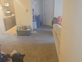 8425 Hearth Drive 26, Houston TX 77054