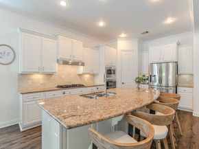 30 Fury Ranch Place, The Woodlands TX 77389