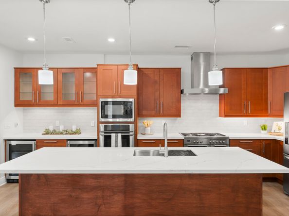 263 S Crimson Clover Court, The Woodlands TX 77381