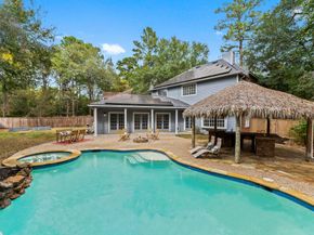 263 S Crimson Clover Court, The Woodlands TX 77381