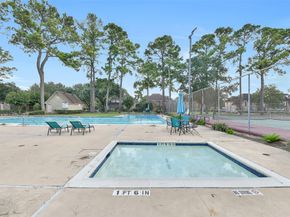 3919 Badger Forest Drive, Houston TX 77088