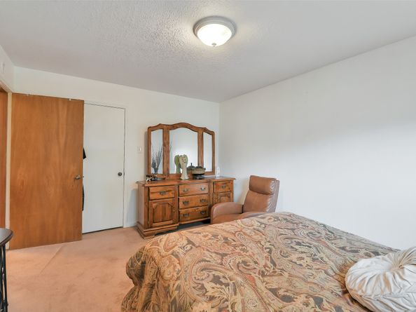 3919 Badger Forest Drive, Houston TX 77088