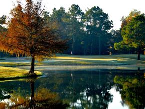 24220 Auburn Trails Drive, Porter TX 77365