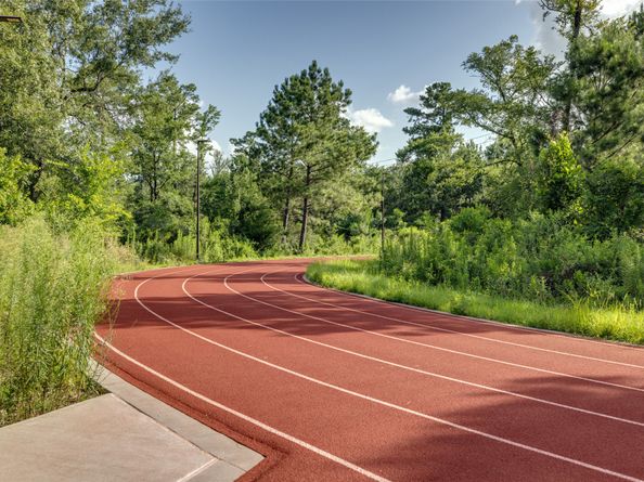 2412 ELMEN Street, Houston TX 77019