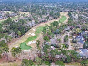 58 Bridgeberry Place, The Woodlands TX 77381