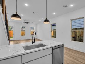 1506 Griffin Street, Houston TX 77009