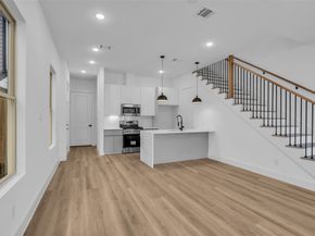 1506 Griffin Street, Houston TX 77009