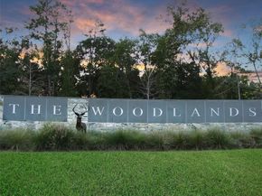 19 Millwright Place, The Woodlands TX 77382