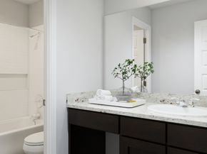 8124 Vanilla Orchid Drive, Houston TX 77078