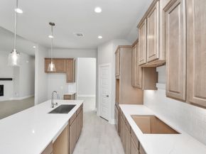 3031 Native Spring Drive, Spring TX 77373