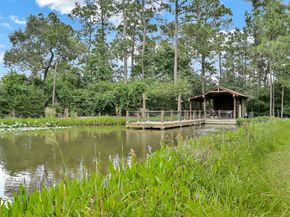 17222 Blanton Forest Drive, Atascocita TX 77346