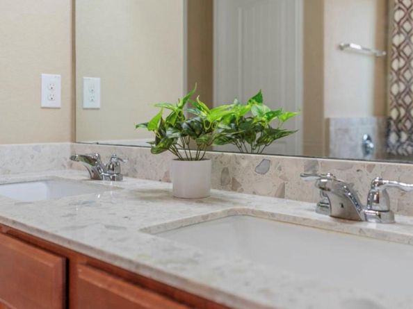 17014 Gibbons PATH, Round Rock TX 78664