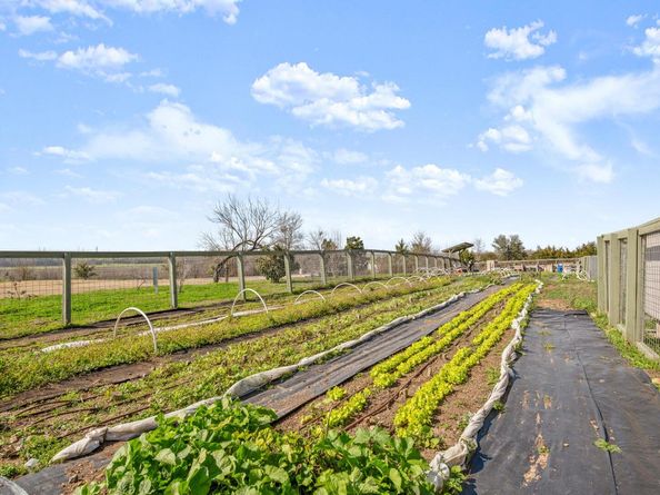 16416 Enamorado RD, Manor TX 78653