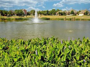 2216 Lookout Knoll DR, Leander TX 78641