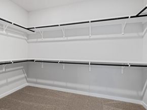 528 Palatino BND, Liberty Hill TX 78642