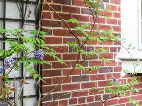 4507 Verplanck Place NW, Washington DC 20016