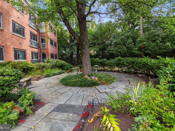 2711 Ordway Street NW 300, Washington DC 20008