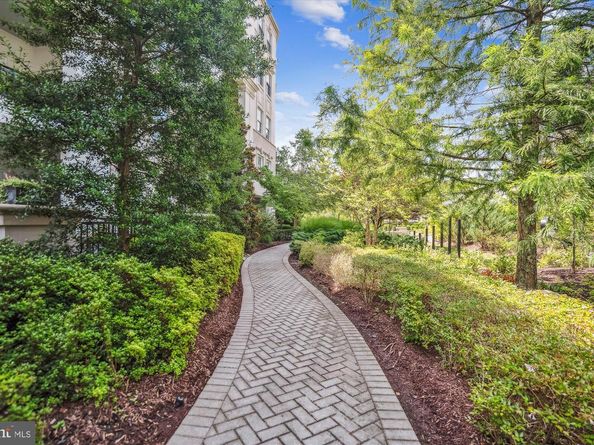 8229 River Road, Bethesda MD 20817
