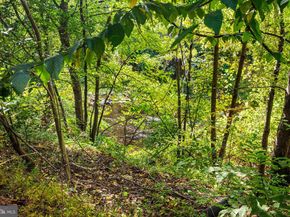 102 Dundee Mills Lane, Wallingford PA 19086