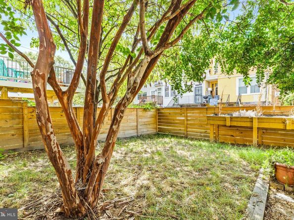 536 Peabody Street NW, Washington DC 20011