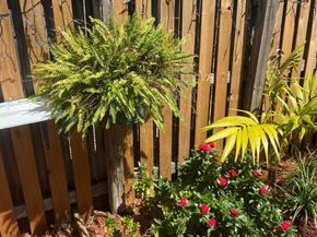 201 NW 7th Terrace, Pompano Beach FL 33060