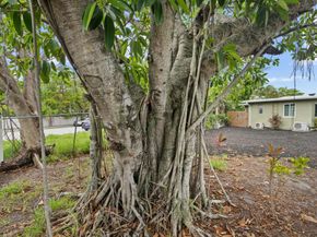 2121 Parker Avenue, West Palm Beach FL 33401