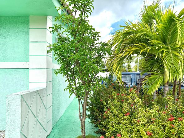 430 NE 75th St, Miami FL 33138