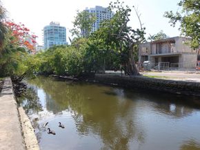 924 SE 2nd St 17, Fort Lauderdale FL 33301