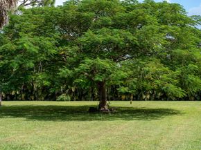 14279 43rd Road, Loxahatchee Groves FL 33470