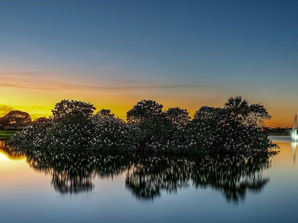 149 Valencia G, Delray Beach FL 33446