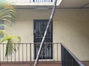 11905 NE 2nd Ave C315, North Miami FL 33161