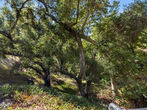 1951 N Topanga Canyon Boulevard, Topanga CA 90290