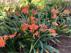 4744 Resmar Rd, La Mesa CA 91941