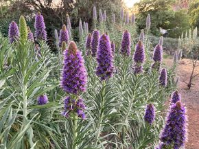 4744 Resmar Rd, La Mesa CA 91941