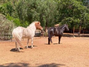 4744 Resmar Rd, La Mesa CA 91941