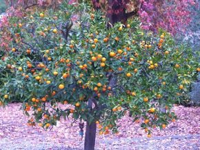 4744 Resmar Rd, La Mesa CA 91941