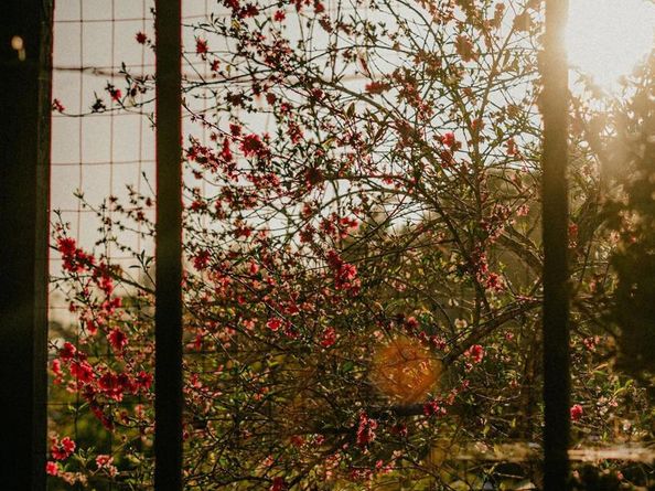 4744 Resmar Rd, La Mesa CA 91941