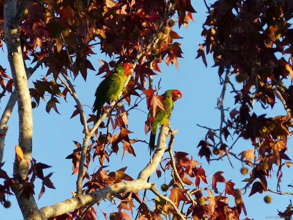 4744 Resmar Rd, La Mesa CA 91941