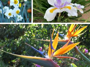 4744 Resmar Rd, La Mesa CA 91941