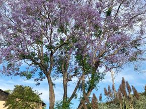 4744 Resmar Rd, La Mesa CA 91941