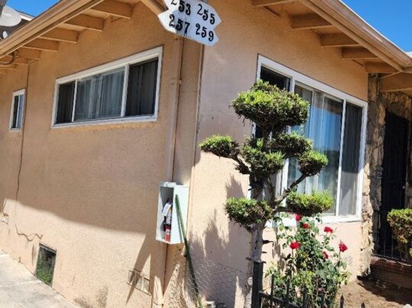 251 W 41st Place, Los Angeles CA 90037