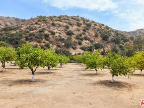 9145 La Tuna Canyon Road, Sun Valley CA 91352