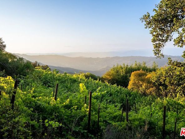 21965 Saddle Peak Road, Topanga CA 90290