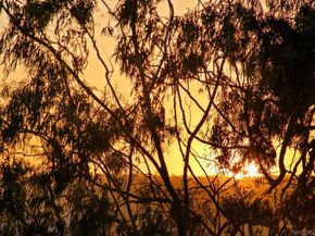 3033 India St. 6, San Diego CA 92103